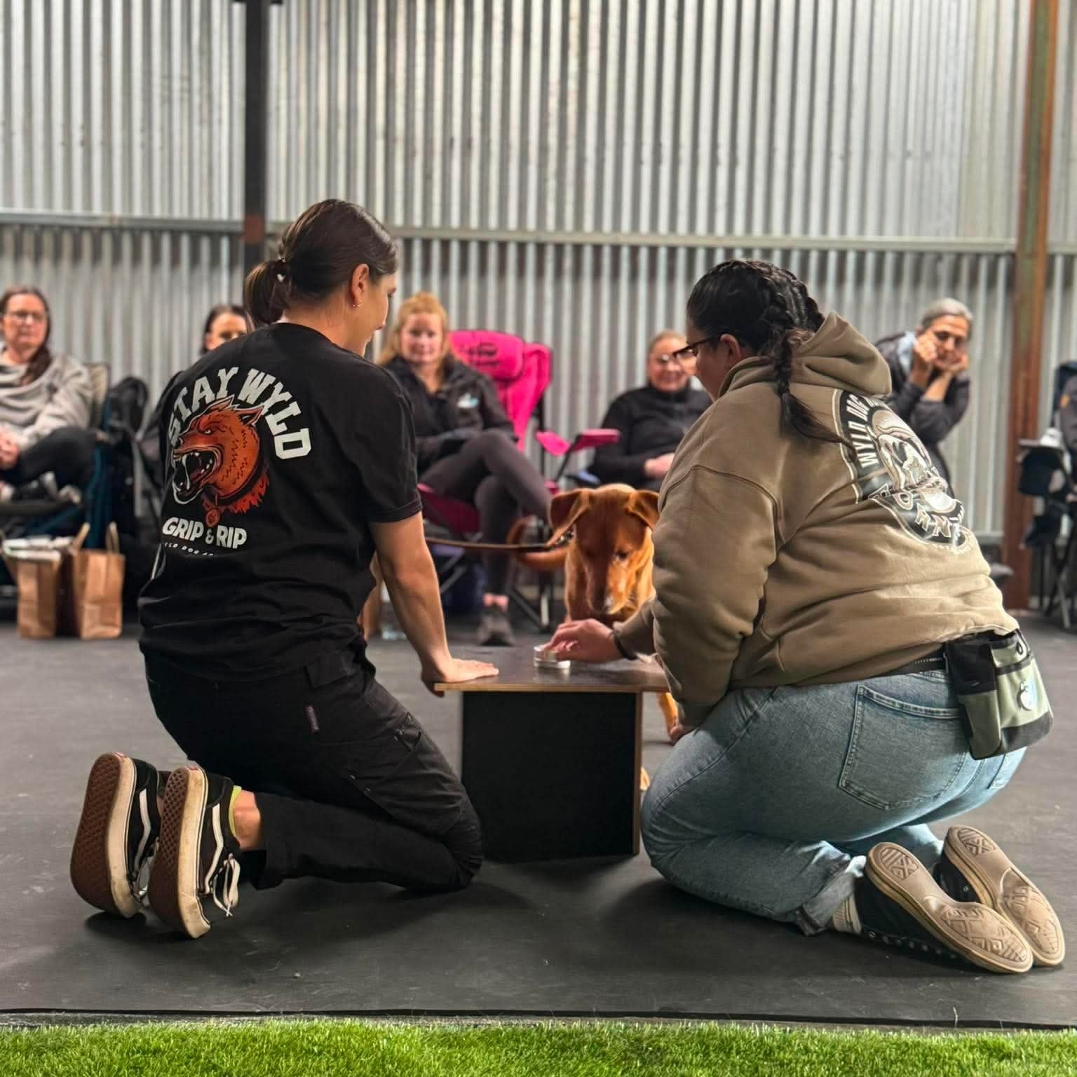 Two people kneeling on a mat with a dog in an indoor setting