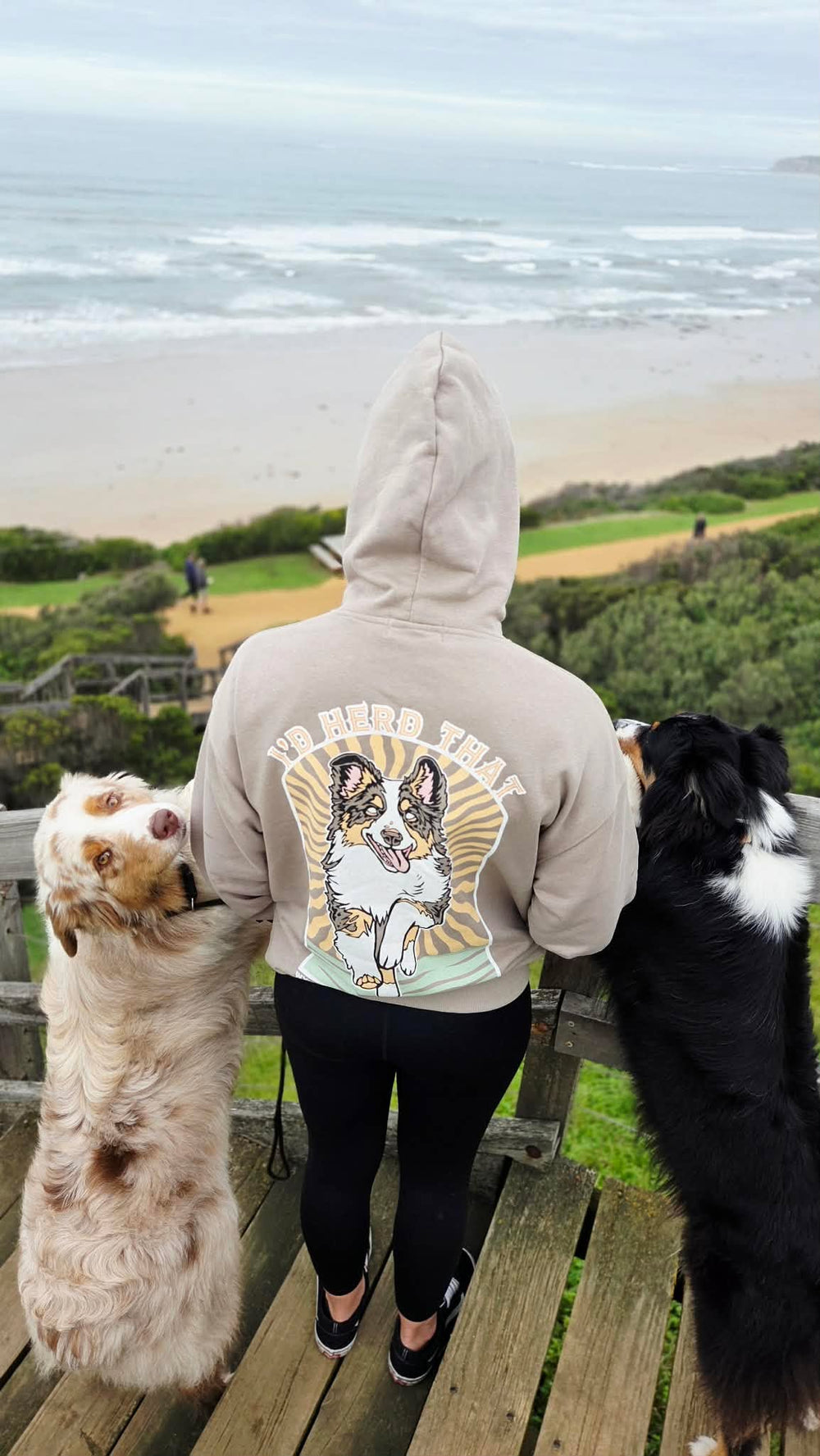 I'd Herd That Hoodie | Australian Shepherd Edition