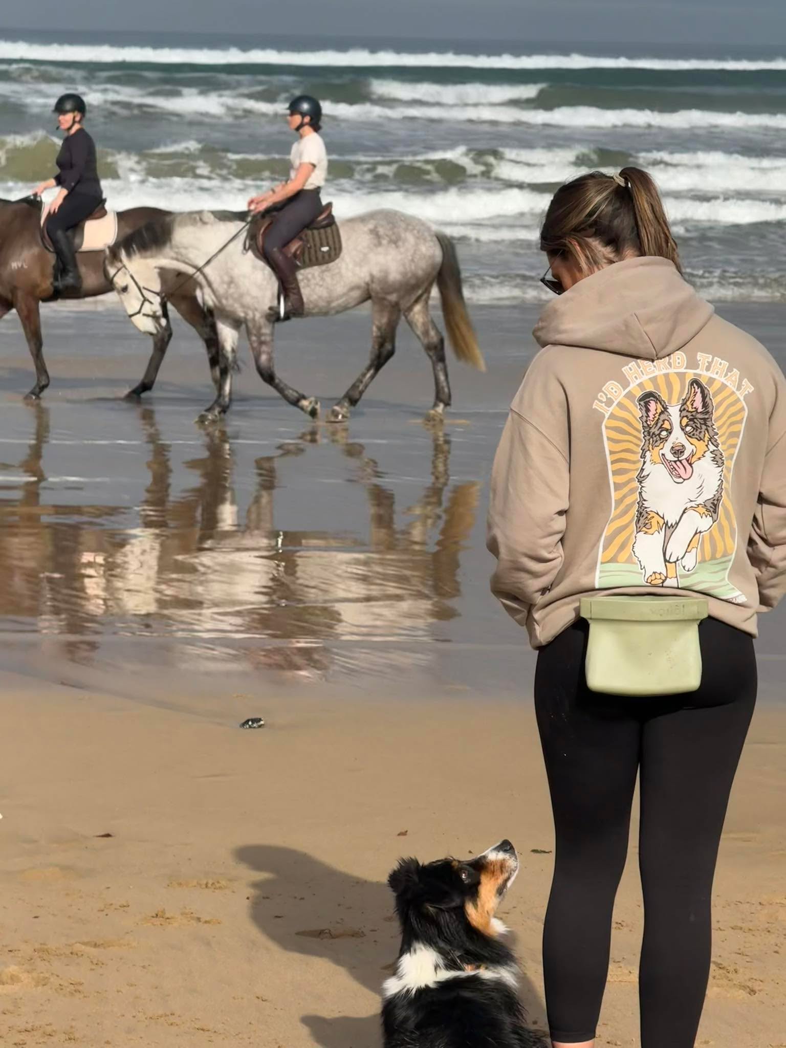 Person with a dog on a beach, with horseback riders in the background.