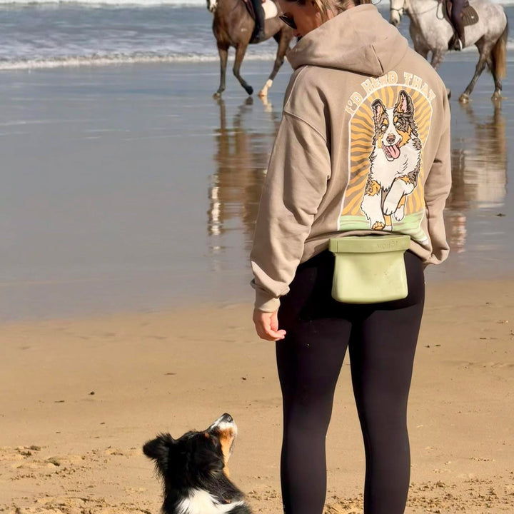 I'd Herd That Hoodie | Australian Shepherd Edition