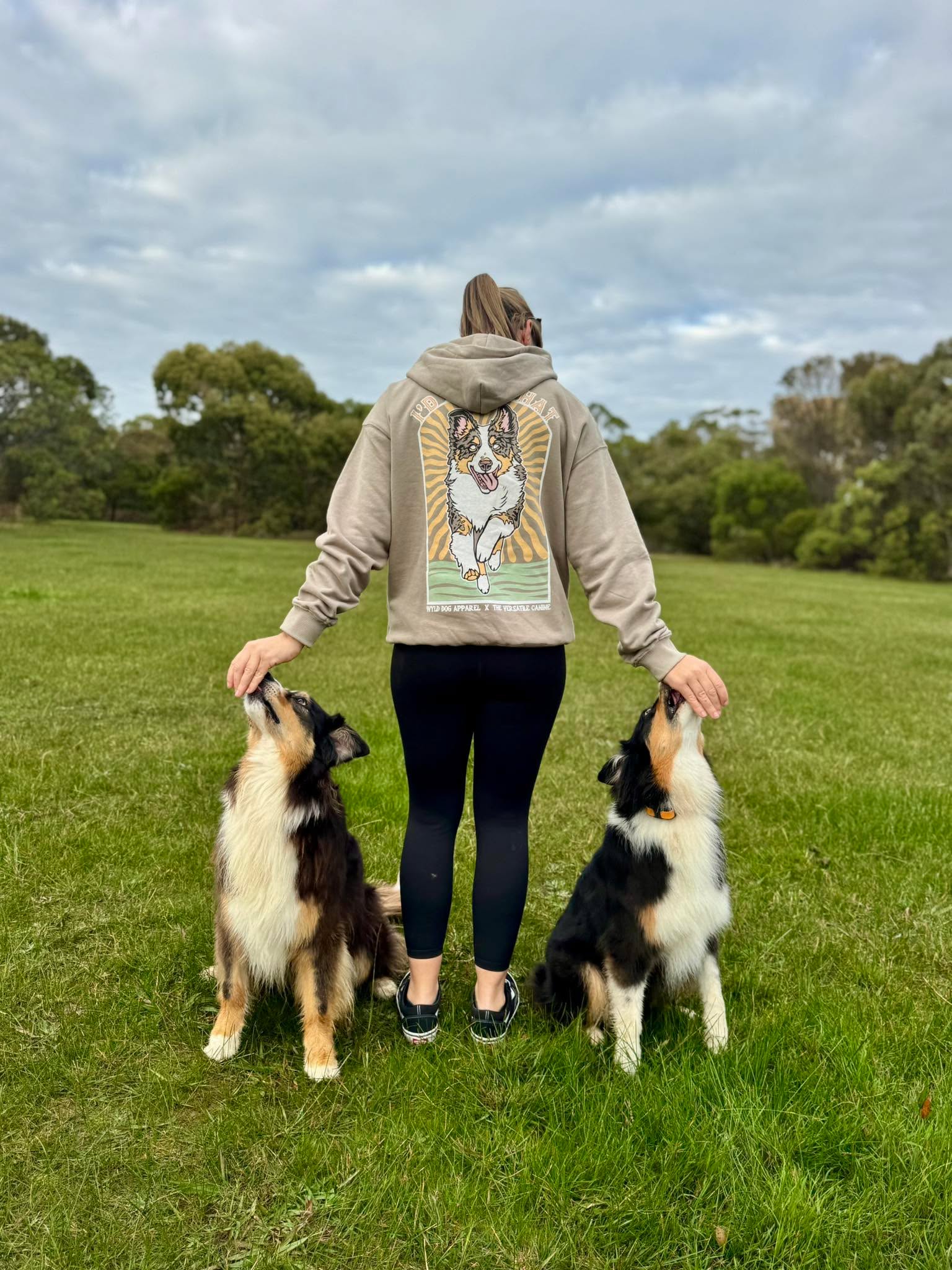I'd Herd That Hoodie | Australian Shepherd Edition